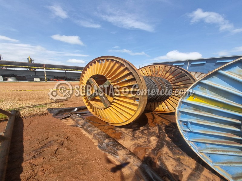 WhatsApp Image 2025-11-07 at 12.54.03 PM (1).jpg